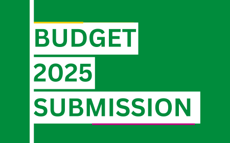 The image displays the text 'budget 2025 submission'.